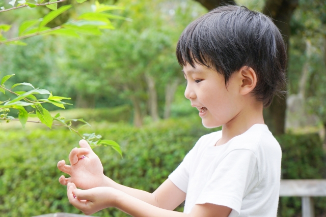 こどもサポート教室「きらり」四日市校の正社員 公認心理師  臨床心理士の求人情報イメージ1